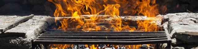 Barbecue au Collet d'Allevard en été