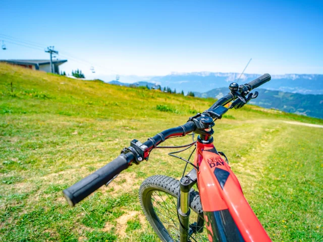 2020 Collet Pose Michael Mollier 68