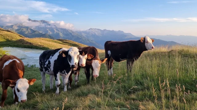 2023 Le Collet Paysages Interne 35