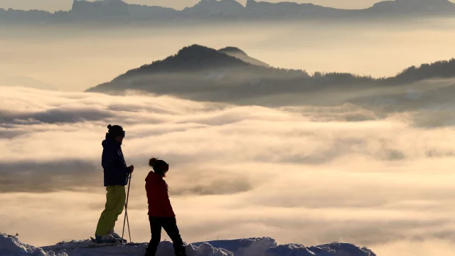 2019 Collet Panorama Urope 69 1