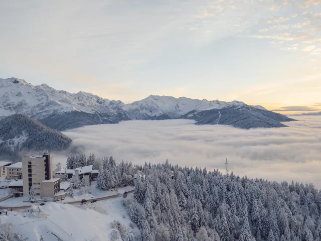 2021 Halsbanddrone 717 Productie 11