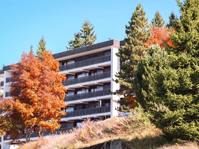 Hebergement Le Collet Automne 14102025 Marie El Hajal 09